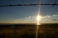 Barbed Wire Sunset
